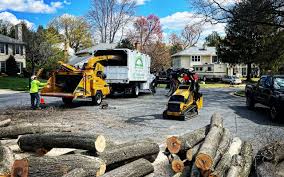 Best Tree Preservation Services  in University Of Virginia, VA