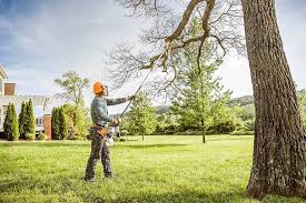 Best Hazardous Tree Removal  in University Of Virginia, VA