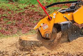 Best Utility Line Clearance  in University Of Virginia, VA