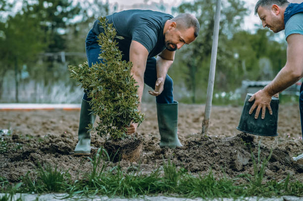 Best Tree Health Inspection  in University Of Virginia, VA