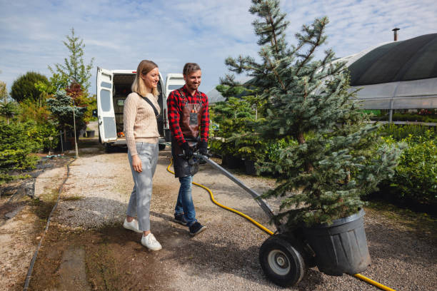 Best Firewood Processing and Delivery  in University Of Virginia, VA